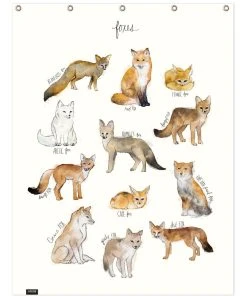 Juniqe Duschvorhang "Foxes" In Braun & Cremeweiß