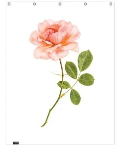 Juniqe Duschvorhang "Rose 1" In Grün & Rosa