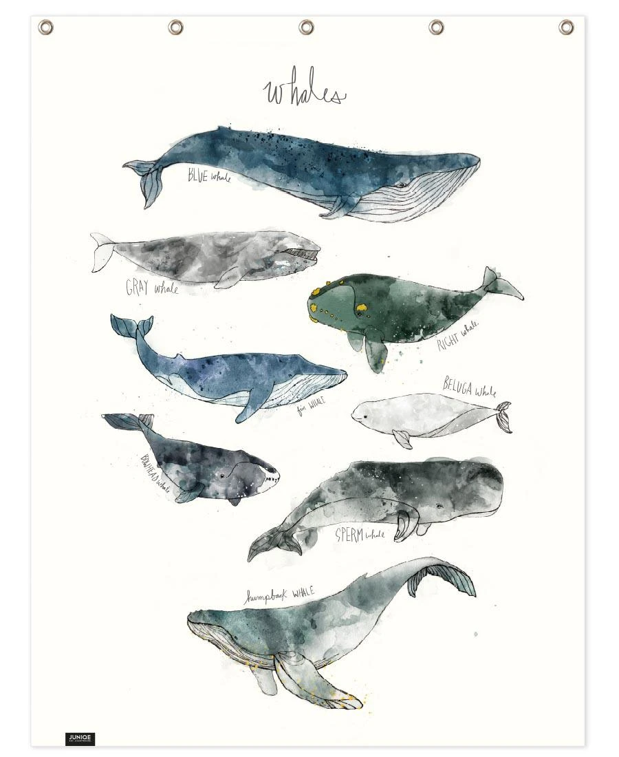 Juniqe Duschvorhang "Whales" In Blau & Cremeweiß 1 Juniqe Duschvorhang "Whales" In Blau & Cremeweiß