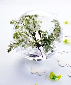 Koziol ORION - Set 2x Hängedisplay In Crystal Clear -Relaxdays Verkaufsshop koziol orion set 2x hangedisplay in crystal clear 5 scaled