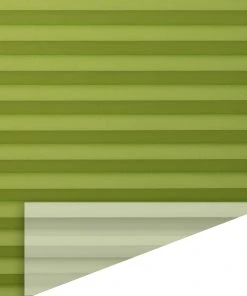 Lichtblick Plissee, Faltrollo In Grün 7 Lichtblick Plissee, Faltrollo In Grün -Relaxdays Verkaufsshop lichtblick plissee faltrollo in grun 1