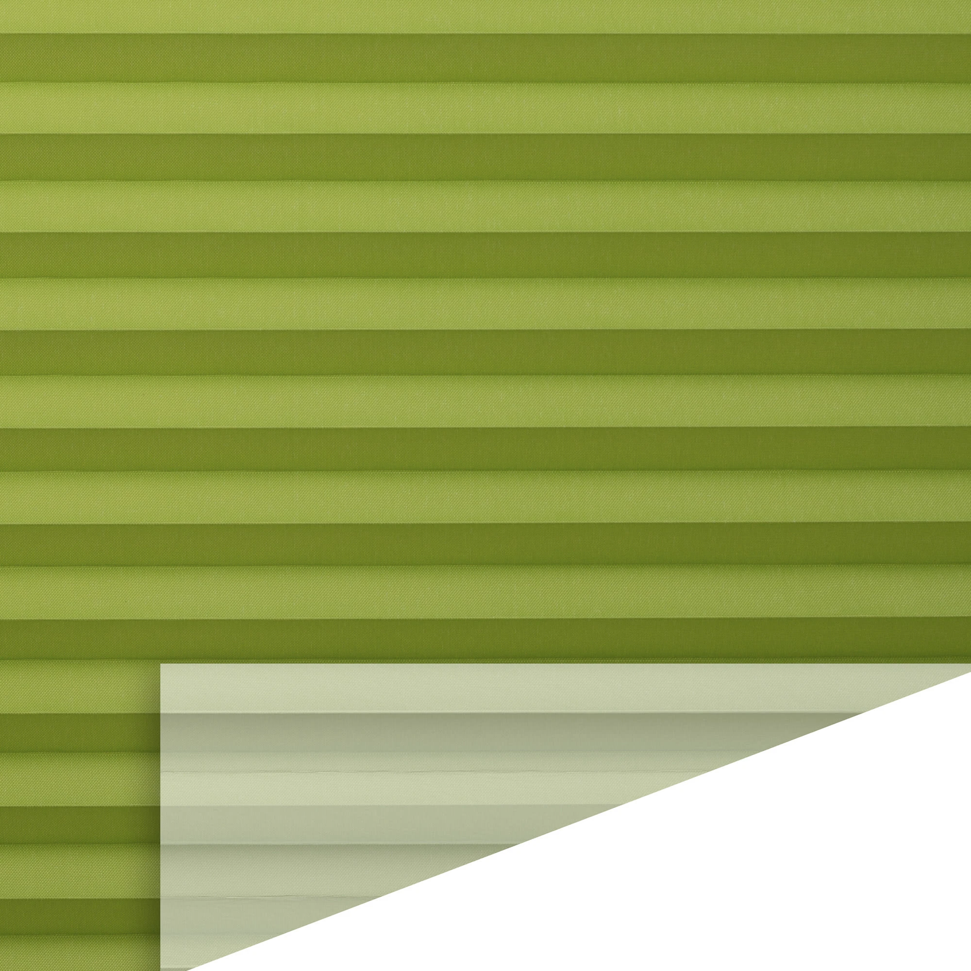 Lichtblick Plissee, Faltrollo In Grün 2 Lichtblick Plissee, Faltrollo In Grün – Bild 2
