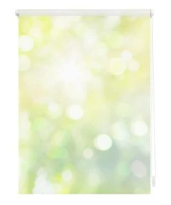 Lichtblick Seitenzugrollo 150 Cm In Grün Gelb