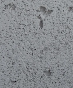 Relaxdays 2x Zahnbürstenhalter In Grau 14 Relaxdays 2x Zahnbürstenhalter In Grau -Relaxdays Verkaufsshop relaxdays 2x zahnburstenhalter in grau 6