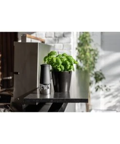 Wenko Elektrische Mühle 2 In 1 Schwarz In Schwarz 48 Wenko Elektrische Mühle 2 In 1 Schwarz In Schwarz -Relaxdays Verkaufsshop wenko elektrische muhle 2 in 1 schwarz in schwarz 20