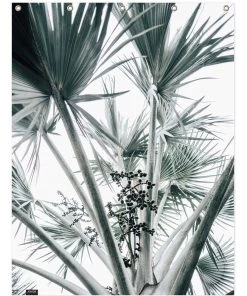 Juniqe Duschvorhang "Beach Palm Fruits" In Grau & Grün