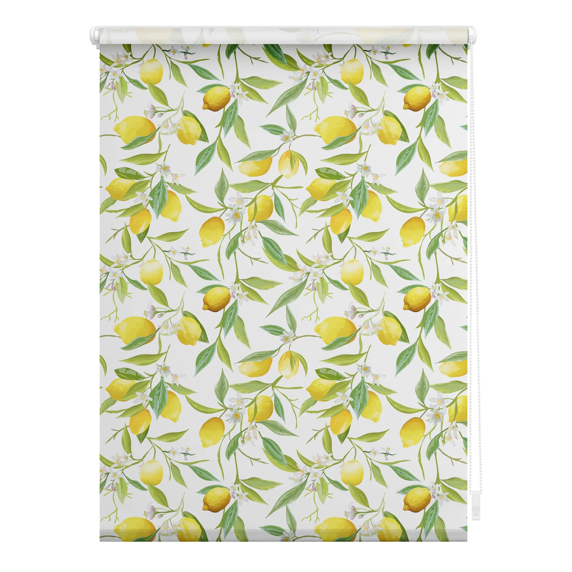 Lichtblick Seitenzugrollo 150 Cm In Gelb Grün 1 Lichtblick Seitenzugrollo 150 Cm In Gelb Grün